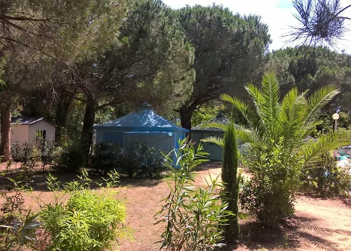 Budget Glamping Safaritent - Mas De Mourgues *