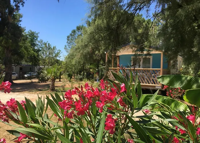 Budget Glamping Safaritent - Mas De Mourgues Hotel