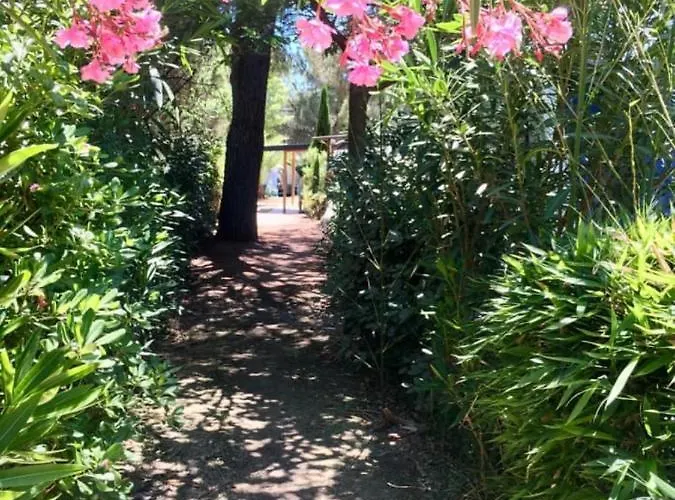 Hotel Budget Glamping Safaritent - Mas De Mourgues *